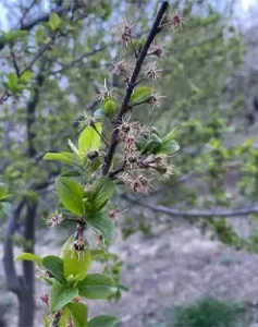 Untitled-22