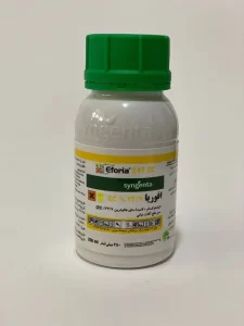 Eforia synjenta