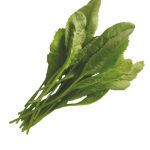 بذر شاهی اعلاء